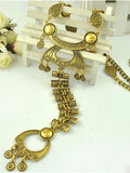 Domineering Insect Shape Alloy Necklace