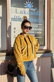 Original Design Women's Autumn and Winter Drawstring Velvet Long-sleeved Sweater